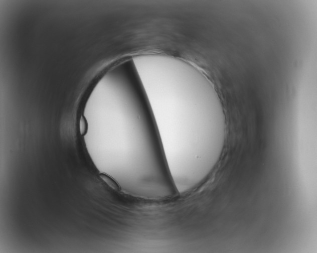 X0000089720200200707051726