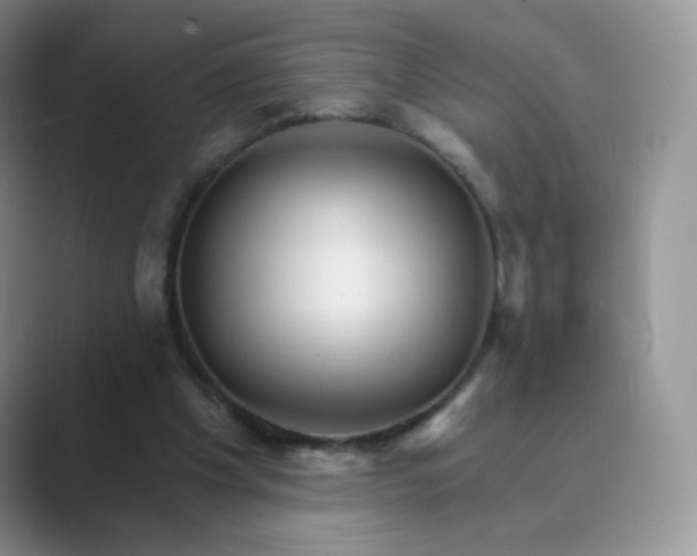 X0000089720201200707051726