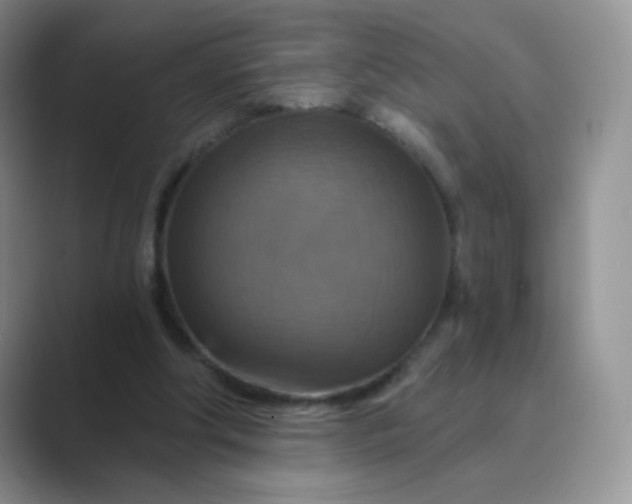 X0000089720202200707051726