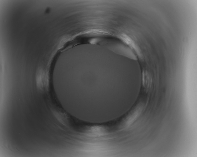 X0000089720204200707051726