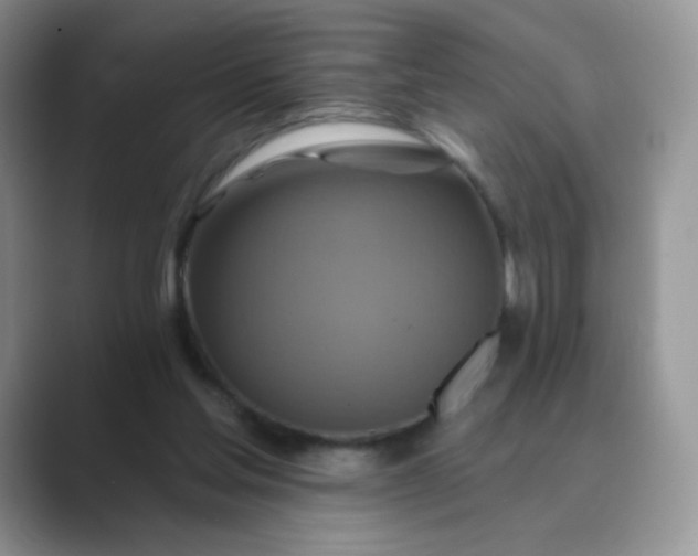 X0000089720205200707051726