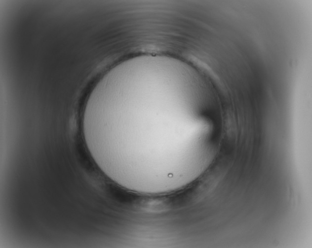 X0000089720208200707051726