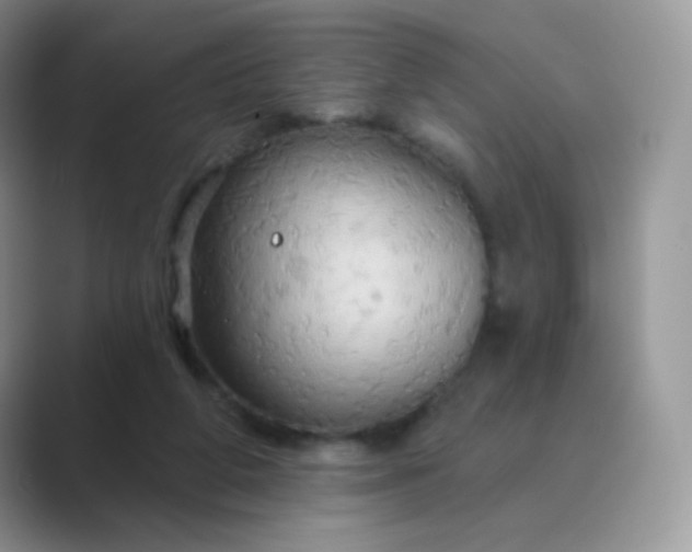 X0000089720210200707051726