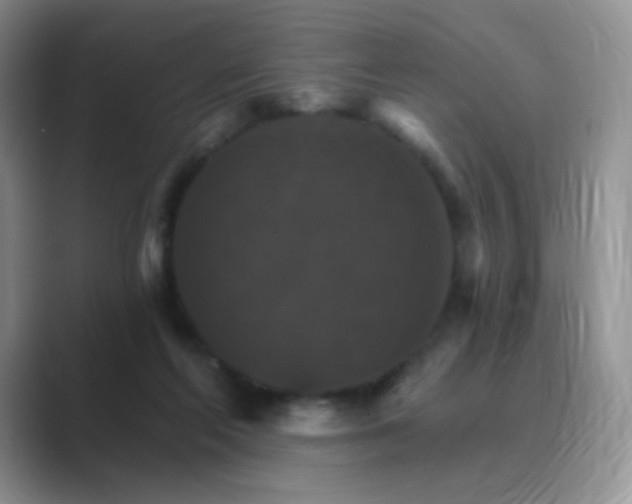 X0000089720214200707051726