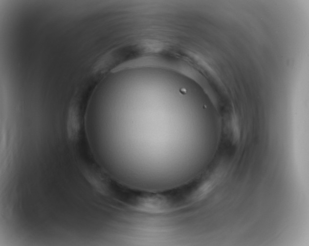 X0000089720215200707051726