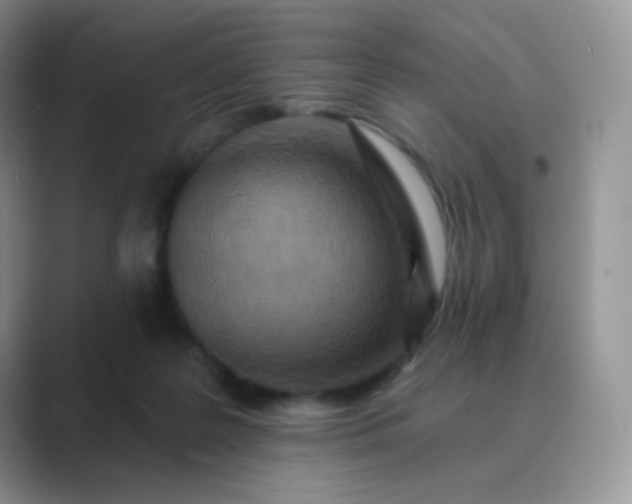 X0000089720219200707051726