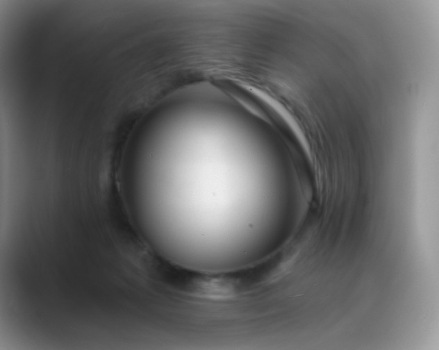 X0000089720221200707051726