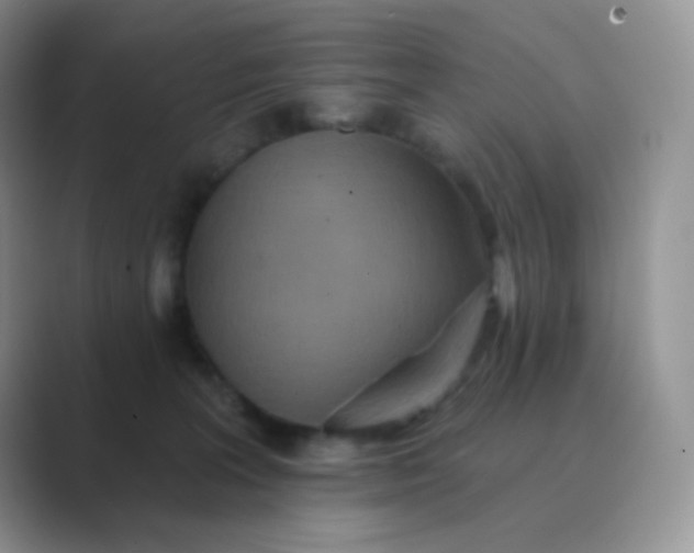 X0000089720227200707051726