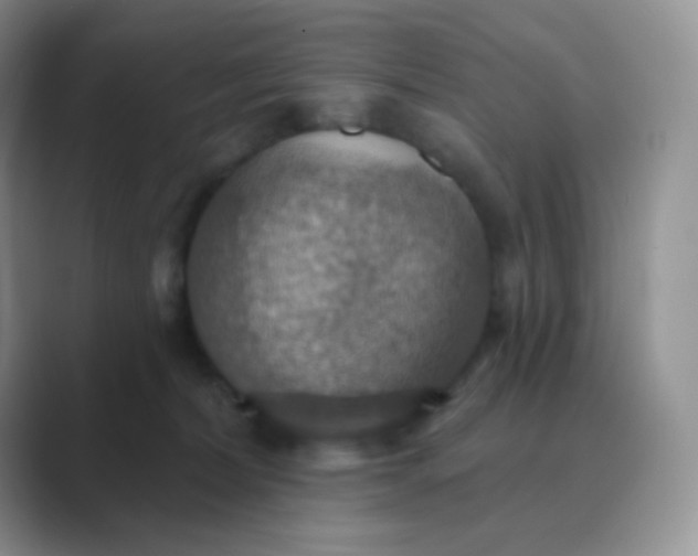 X0000089720228200707051726