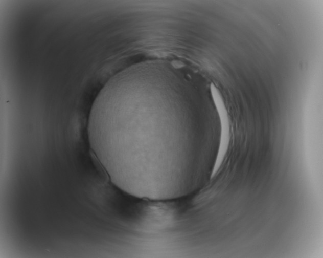 X0000089720229200707051726