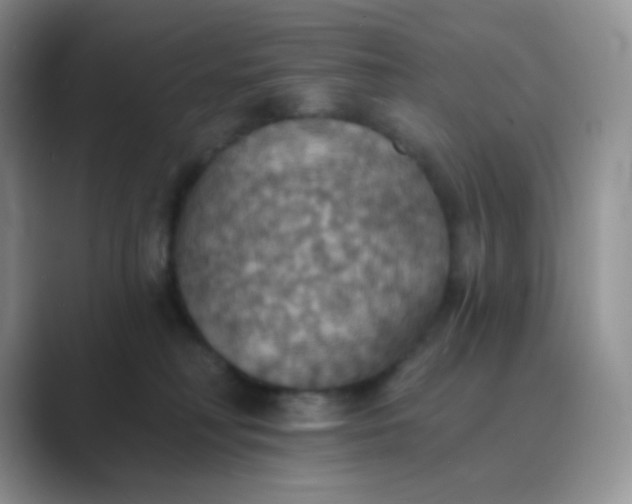 X0000089720230200707051726