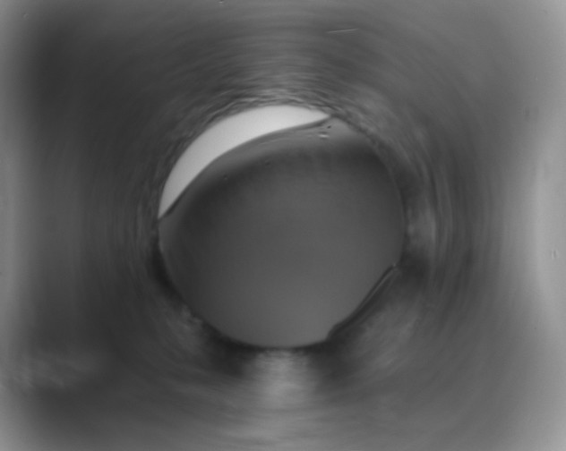 X0000089720231200707051726