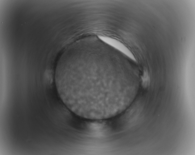 X0000089720232200707051726