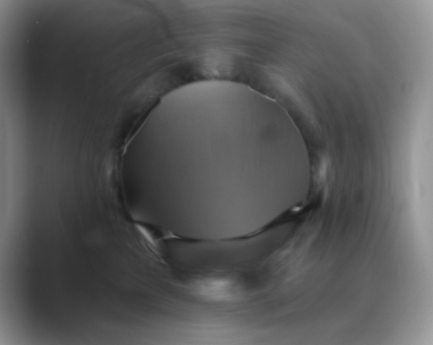 X0000089720233200707051726