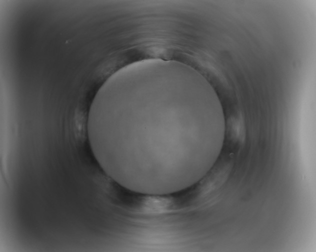 X0000089720234200707051726