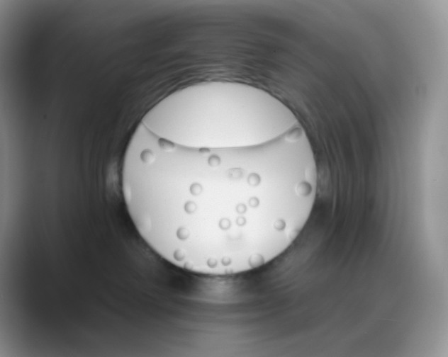 X0000089720238200707051726