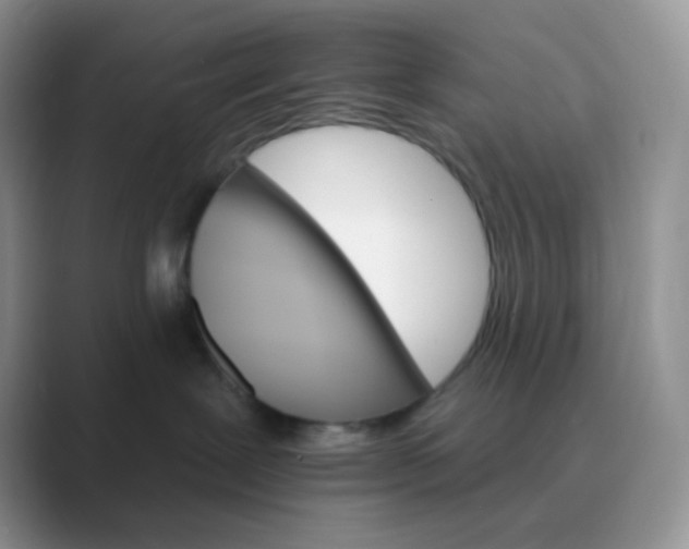 X0000089720239200707051726