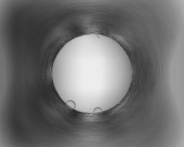 X0000089720240200707051726