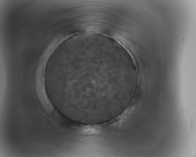 X0000089720241200707051725