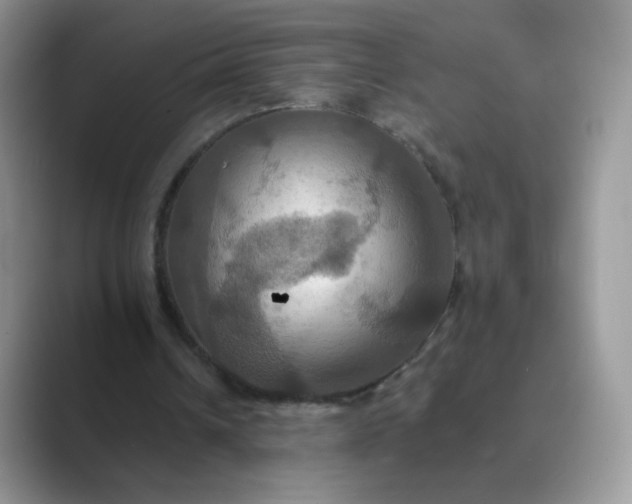 X0000089720242200707051725