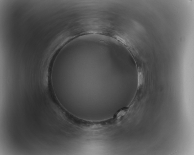 X0000089720243200707051725