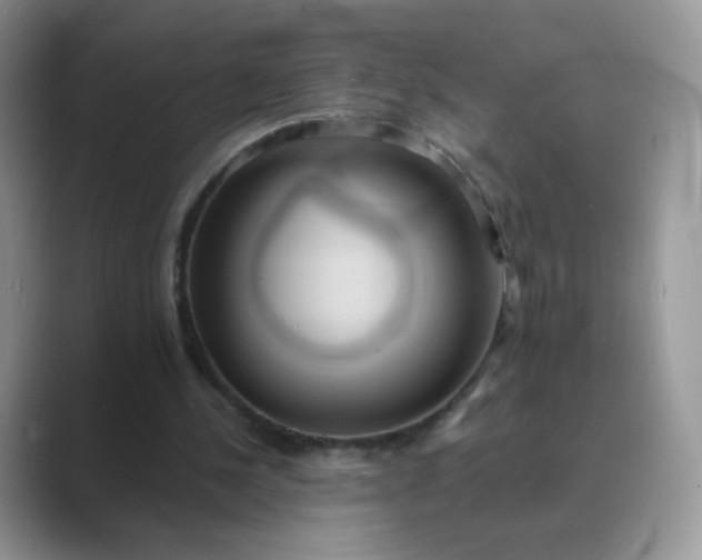 X0000089720244200707051725