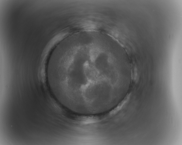 X0000089720245200707051725