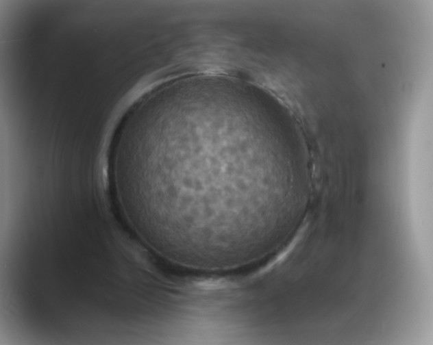 X0000089720246200707051725