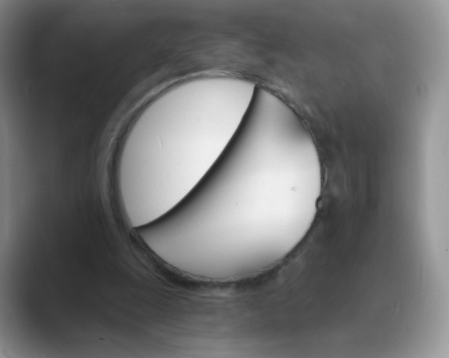 X0000089720247200707051725