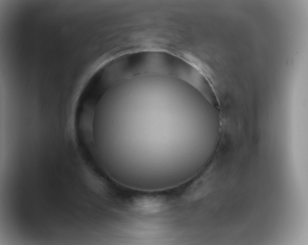 X0000089720248200707051725