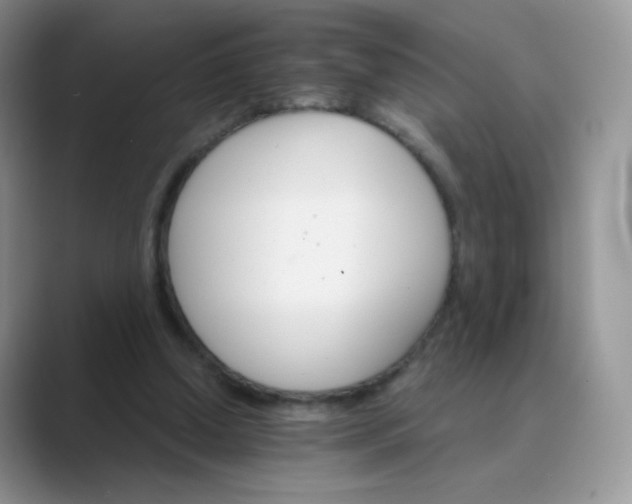 X0000089720250200707051725