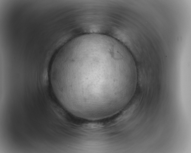 X0000089720251200707051725
