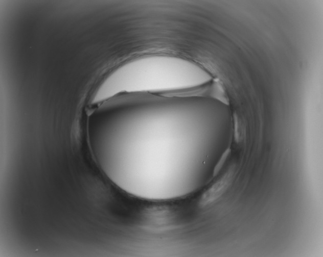 X0000089720252200707051725