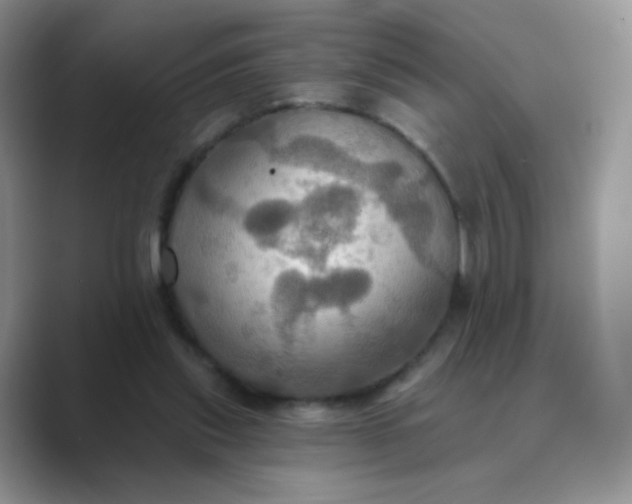 X0000089720253200707051725
