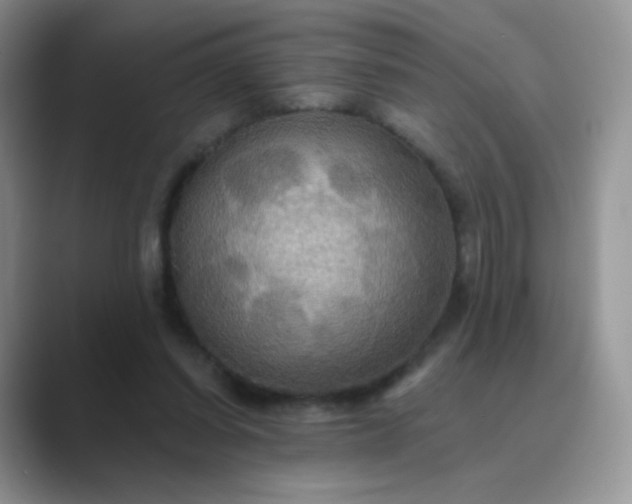 X0000089720254200707051725