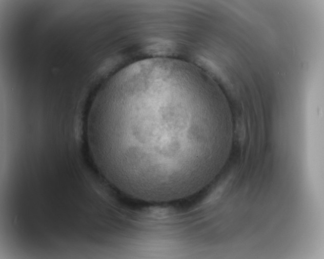 X0000089720255200707051725