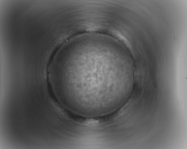 X0000089720257200707051725