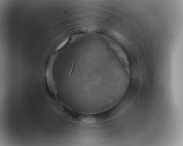 X0000089720258200707051725