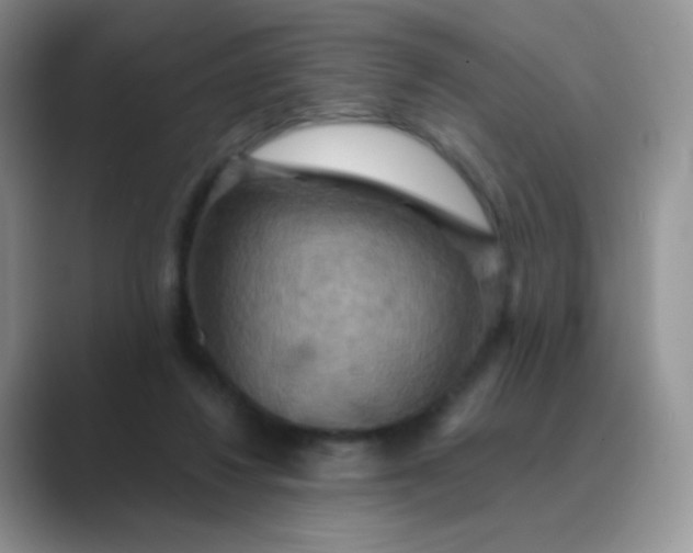 X0000089720260200707051725