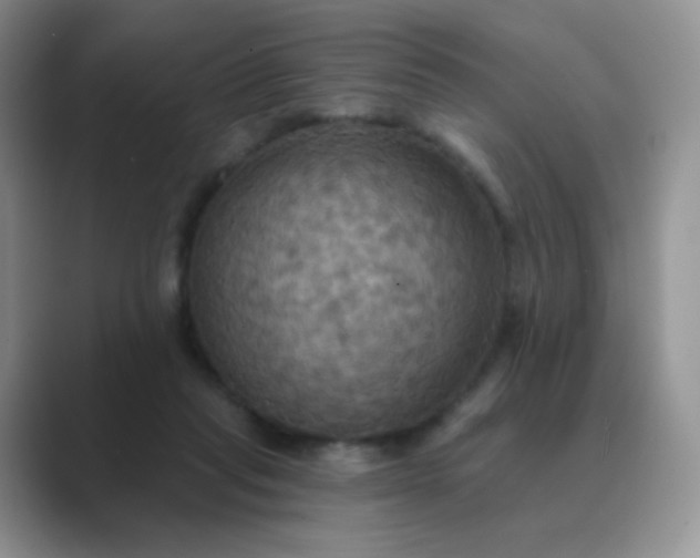 X0000089720261200707051725