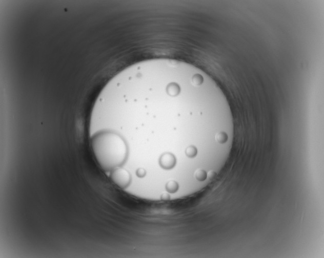 X0000089720262200707051725