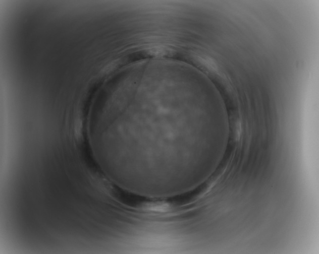 X0000089720266200707051725