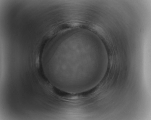 X0000089720267200707051725