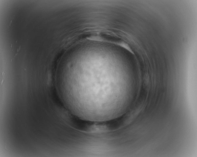 X0000089720270200707051725
