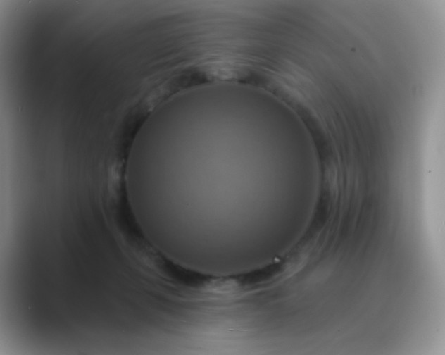 X0000089720271200707051725