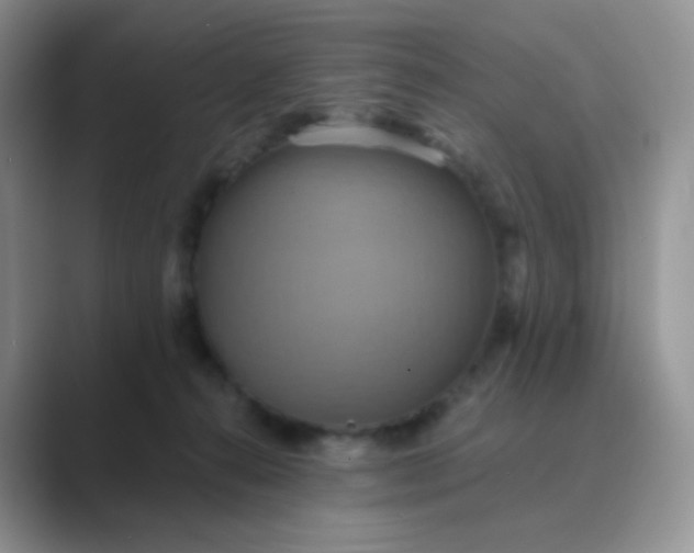 X0000089720272200707051725
