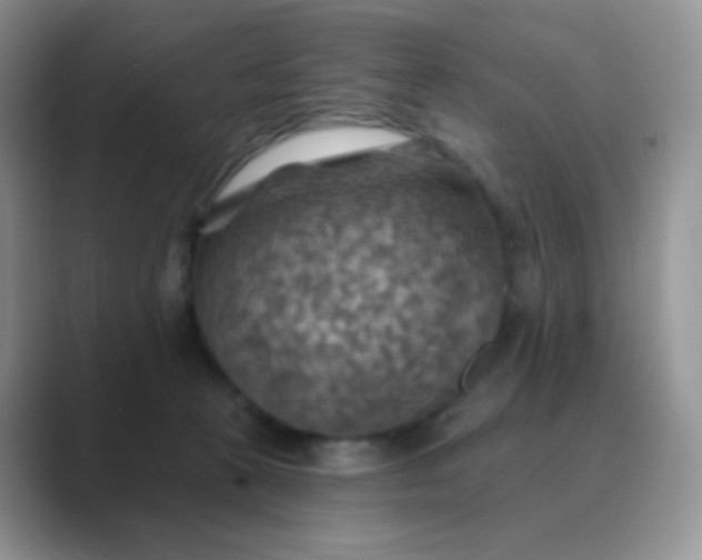 X0000089720273200707051725