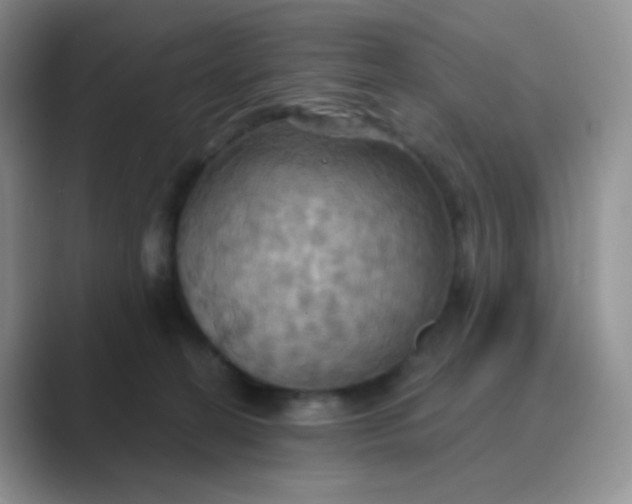 X0000089720274200707051725
