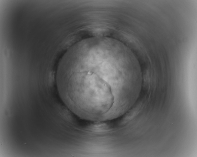 X0000089720278200707051726