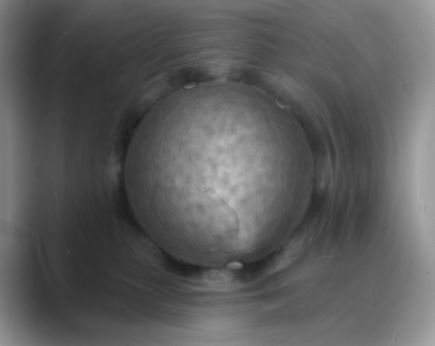 X0000089720279200707051726